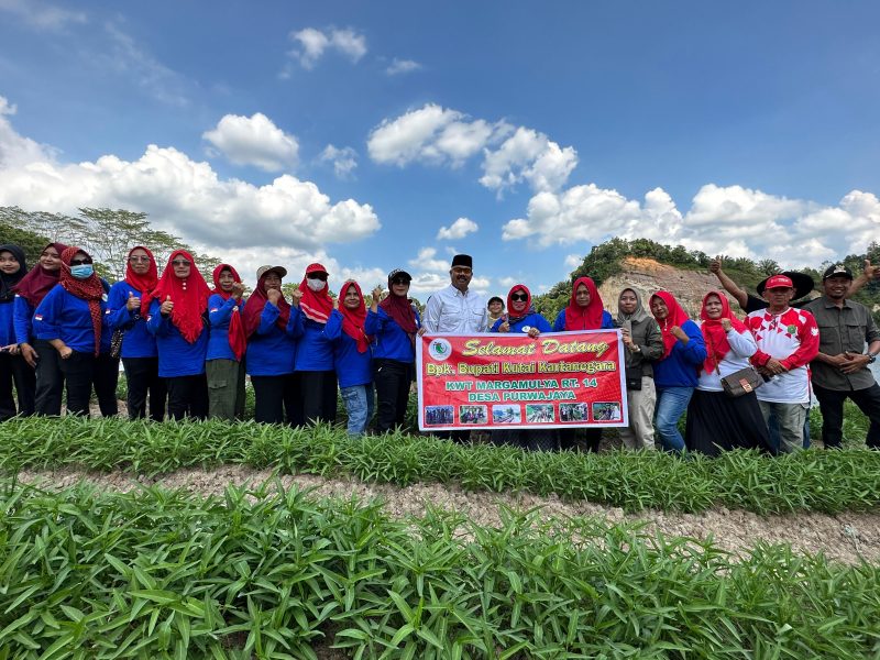 Dedikasi Bupati Edi Damansyah dalam transformasi pertanian Kutai Kartanegara