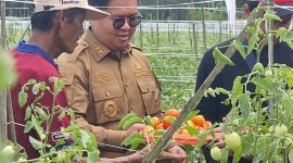 Pertanian, perkebunan, dan peternakan menjadi sektor kedua terbesar usai pertambangan yang akan menjadi fondasi ekonomi Kutai Kartanegara.