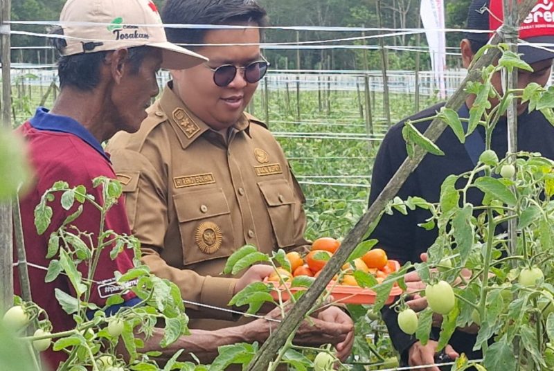 Pertanian, perkebunan, dan peternakan menjadi sektor kedua terbesar usai pertambangan yang akan menjadi fondasi ekonomi Kutai Kartanegara.