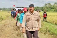 Dinas Pekerjaan Umum (PU) beserta Dinas Pertanian dan Peternakan (Distanak) diminta Bupati Kutai Kartanegara (Kukar), Edi Damansyah agar dapat mengatasi permasalahan irigasi maupun jalan usaha tani.