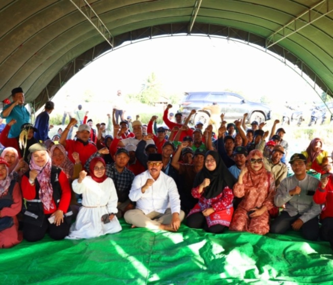 Bupati Kutai Kartanegara (Kukar) Edi Damansyah ikut melakukan Panen Raya Padi Mentik Susu Wangi di persawahan Desa Sidomukti Kecamatan Muara Kaman pada Selasa sore (26/3/2024).