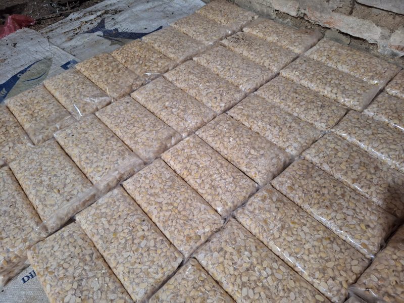 Proses pembuatan tempe di Desa Loa Pari