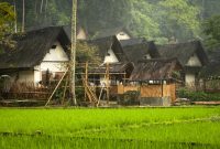 Ilustrasi Ketahanan Pangan 