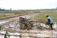 Pemerintah Desa Kahala Ilir, Kecamatan Kenohan, Kabupaten Kutai Kartanegara (Kukar) terus mendorong penguatan sektor pertanian dengan membenahi infrastruktur dasar seperti jalan usaha tani.