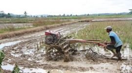 Pemerintah Desa Kahala Ilir, Kecamatan Kenohan, Kabupaten Kutai Kartanegara (Kukar) terus mendorong penguatan sektor pertanian dengan membenahi infrastruktur dasar seperti jalan usaha tani.