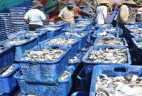 Pemerintah Desa Muara Kaman Ulu, Kecamatan Muara Kaman, Kabuapten Kutai Kartanegara (Kukar) memiliki potensi sumber daya yang cukup besar untuk dikembangkan yakni perikanan dan pariwisata