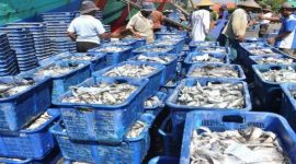 Pemerintah Desa Muara Kaman Ulu, Kecamatan Muara Kaman, Kabuapten Kutai Kartanegara (Kukar) memiliki potensi sumber daya yang cukup besar untuk dikembangkan yakni perikanan dan pariwisata